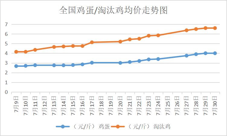 北京大洋路雞蛋今日行情，探尋內(nèi)心平靜的雞蛋之旅