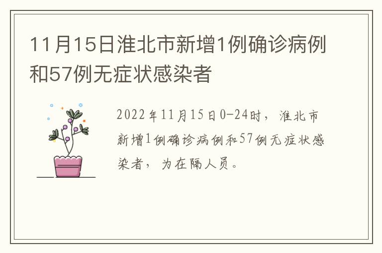 淮北新增病例動態(tài)及應(yīng)對策略，疫情最新進展與防控措施更新