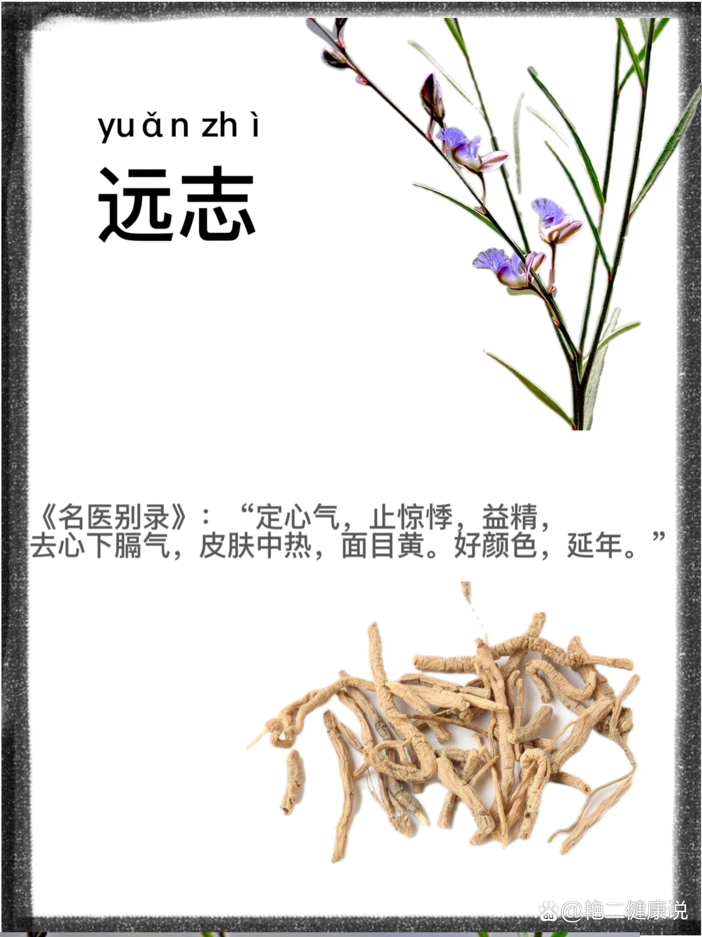 遠(yuǎn)志名最新講道視頻,遠(yuǎn)志名最新講道視頻，探索信仰的深邃世界