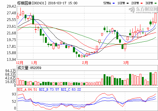 棕櫚園林股票動態(tài)解析，最新消息獲取與深度分析指南