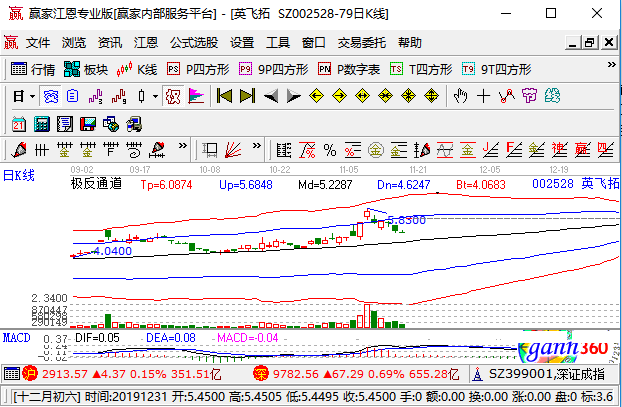 揭秘002528股票，投資潛力與策略深度解析